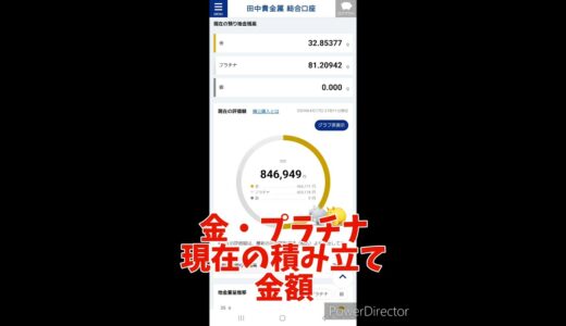 金とプラチナの積立金額#金#積み立て#ゴールド#投資  2024年4月17日