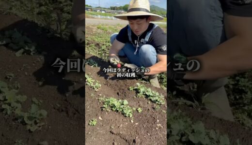 クラウドファンディング挑戦中🔥詳細はプロフィールのURLから