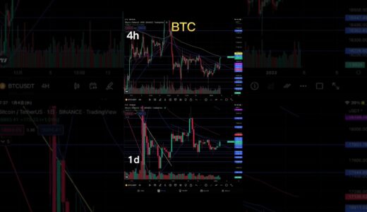 【BTC】1/4 ブルトラ発動中 短期チャート分析 仮想通貨 ビットコイン