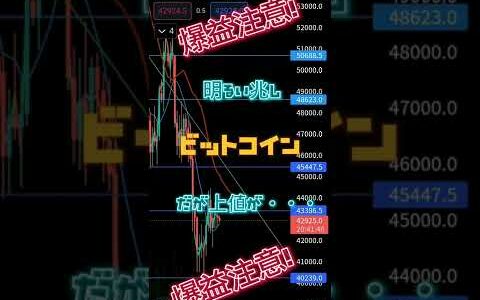 【爆益】ビットコインで爆益！？レバレッジが熱い？