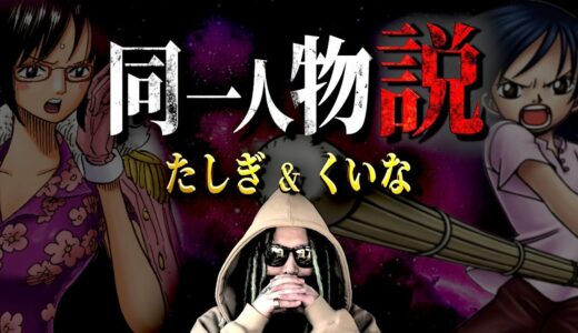 “長年の論争”ついに終止符【ワンピース ネタバレ】