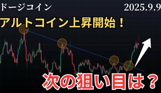 【📈アルトコイン続々急騰❗️次の狙いの通貨、価格について】