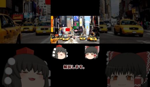 【トランプ相場の教訓】儲けた人！損した人！【あなたはどっち!?】下落相場の対策、現時点でのおススメ銘柄も紹介！