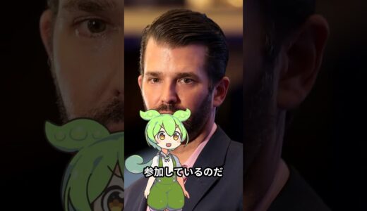 【速報】トランプ氏の息子が関与の企業、ビットコインETFを購入した意義とは？#fyp #shorts #ビットコイン #投資 #解説 #金融 #仮想通貨