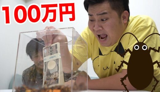 【閲覧注意】ゴキブリだらけの箱に１分間手を入れられたら￥1000000ゲット！！