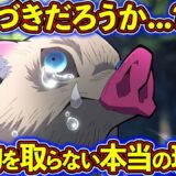 伊之助が猪の被り物を取らない本当の理由！　嘴平伊之助を徹底解説！【鬼滅の刃（きめつのやいば）考察】