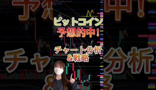 【BTC】予想的中！チャート分析 ＆ 戦略 ビットコイン 仮想通貨