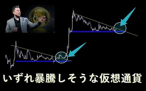 長期的に大きいリターンが狙えるアルトコイン2選【TRX DOGE 】