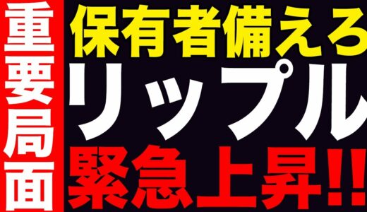 【最新情報】アルトコインシーズンは終わっていない！下落を糧に強気シグナル発生！【リップル】【仮想通貨】【シバコイン】【イーロンマスク】【ビットコイン】【SHIB】【XRP】【DOGE】【最新】