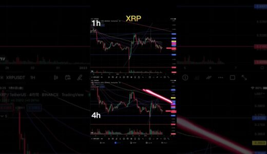 【XRP】1/6短期ポイント予想的中 チャート分析 仮想通貨 リップル