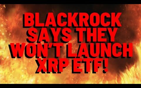 XRP: ブラックロックはXRP ETFを立ち上げないと言っています!