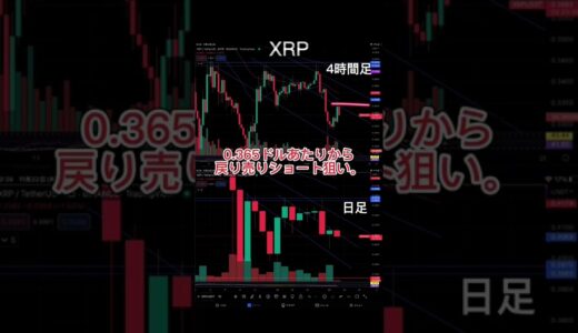 【XRP】予想的中！リップル チャート分析＆トレード戦略をりんリンクス！