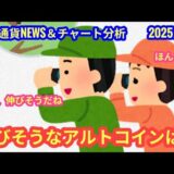 【まだまだ伸びそうなアルトコインは？】本日の相場分析は「BTC・SUI・XRP・BCH・LTC・FLR・DOGE・JOC・INJ・ATH・JITOSOL・HUMA・他アルト2種」2025/9/14