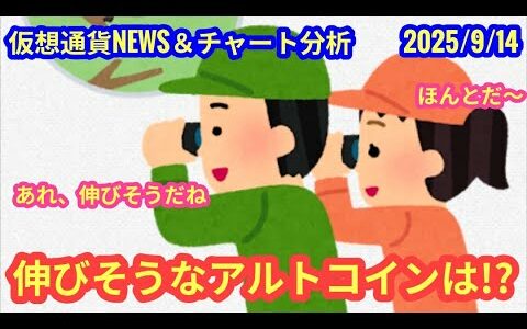 【まだまだ伸びそうなアルトコインは？】本日の相場分析は「BTC・SUI・XRP・BCH・LTC・FLR・DOGE・JOC・INJ・ATH・JITOSOL・HUMA・他アルト2種」2025/9/14